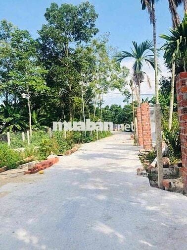 Siêu phẩm đất nền Đà Nẵng Ngang 7m30 nở hậu 7m50 cực đẹp chốt ngay ạ