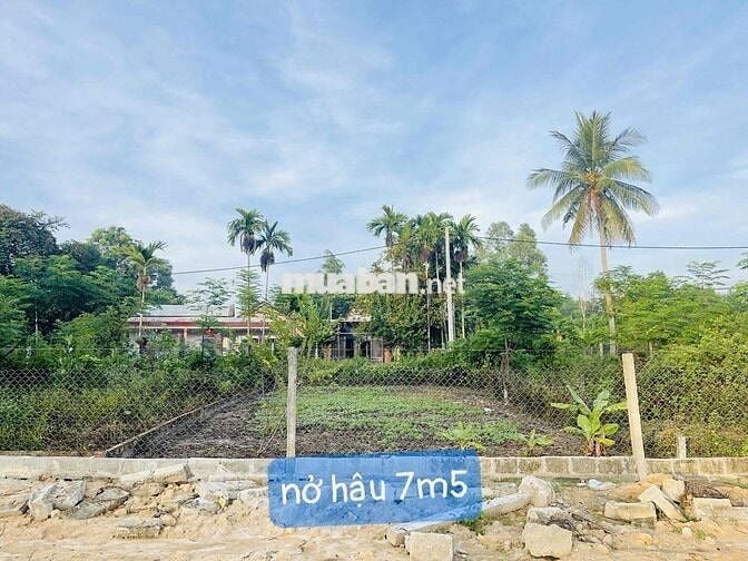 Siêu phẩm đất nền Đà Nẵng Ngang 7m30 nở hậu 7m50 cực đẹp chốt ngay ạ