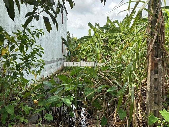 BÁN GẤP NỀN VEIW ĐẸP ĐƯỜNG VÕ VĂN KIỆT- KHU HC TỈNH, PHƯỜNG LONG CHÂU