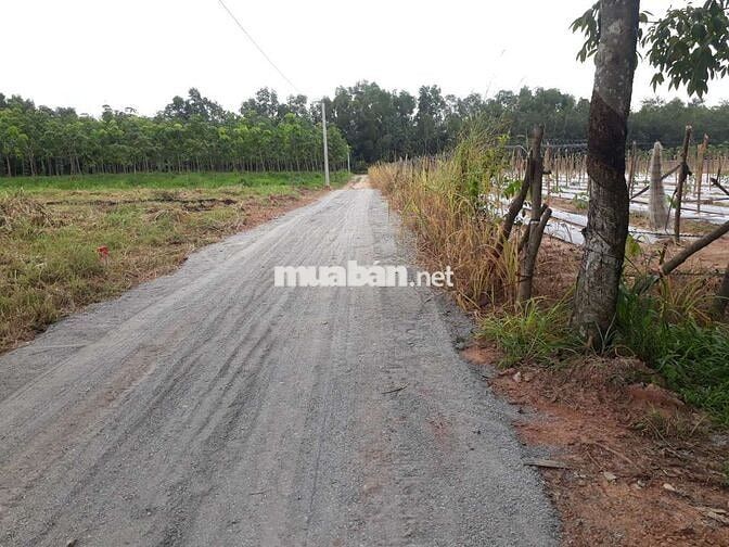 lô đất mặt tiền 5 x 24 =120m,( 60mtc)