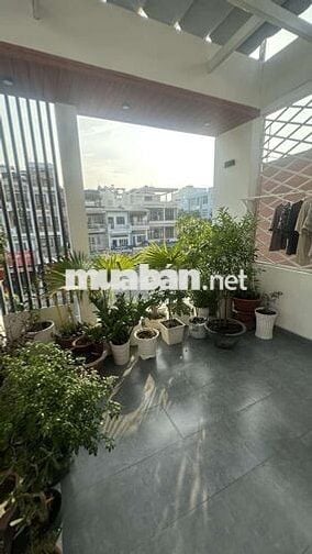 🌸MT DƯƠNG QUẢNG HÀM P6 - XD MỚI 3 TẦNG - 52M2. ĐƯỜNG 40M CÓ VỈA HÈ.🌸