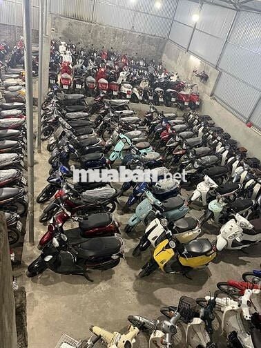 Cửa Hàng thanh lý các loại xe máy 50cc học sinh