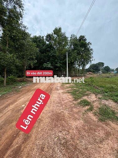 lô đất mặt tiền 5 x 24 =120m,( 60mtc)