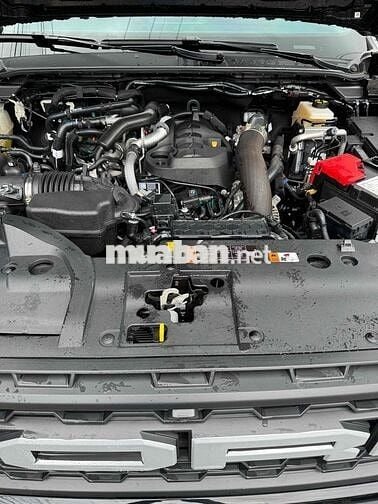 Ford Raptor 2025-800 km