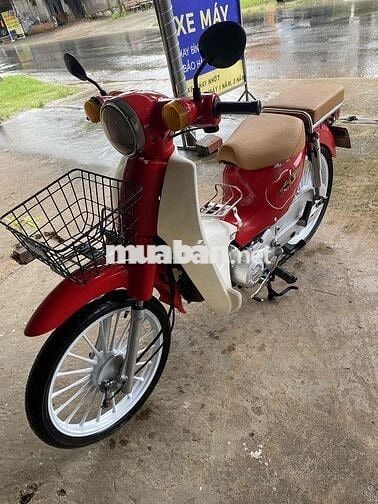 Cub 50cc