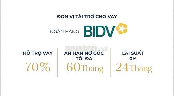 [Chung cư Đống Đa Huế] Mở bán căn hộ trung tâm, ƯU ĐÃI GIAI ĐOẠN ĐẦU