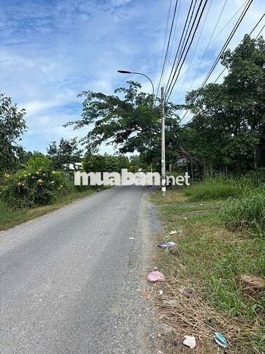 BÁN GẤP ĐẤT NỀN MẶT TIỀN ĐOÀN NGUYỄN TUẤN – BÌNH CHÁNH