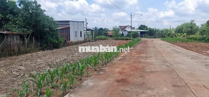 NHANH TAY MỚI KỊP SỞ HỮU 6 lô đất sổ riêng chỉ 560tr