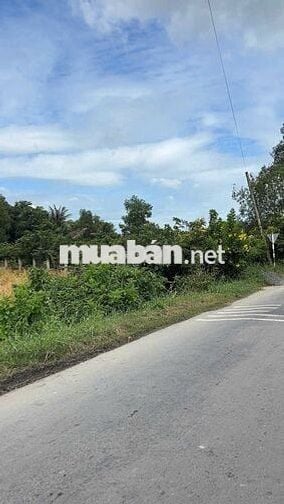 BÁN GẤP ĐẤT NỀN MẶT TIỀN ĐOÀN NGUYỄN TUẤN – BÌNH CHÁNH