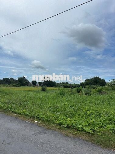 BÁN GẤP ĐẤT NỀN MẶT TIỀN ĐOÀN NGUYỄN TUẤN – BÌNH CHÁNH