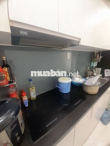 Mình cho thuê căn hộ Green river 2pn 2wc full nội thất, quận 8, kế Q5