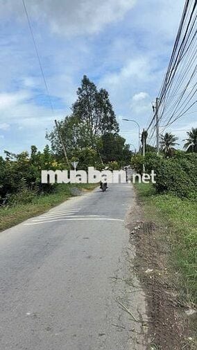BÁN GẤP ĐẤT NỀN MẶT TIỀN ĐOÀN NGUYỄN TUẤN – BÌNH CHÁNH