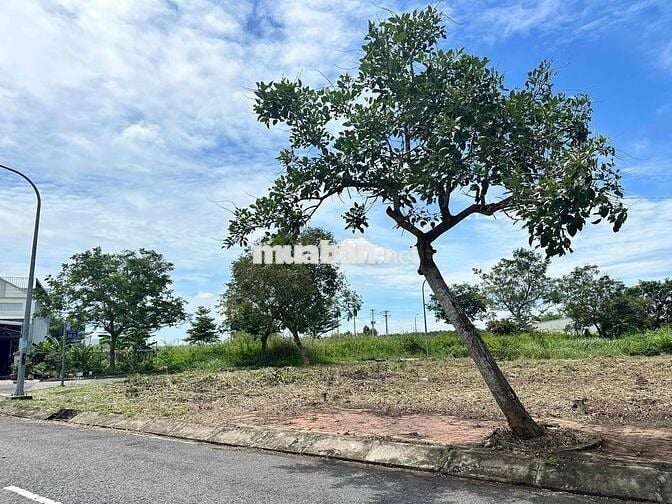 nền sạch đẹp . 100m2 xd tự do t&t thái sơn . giá ngợp