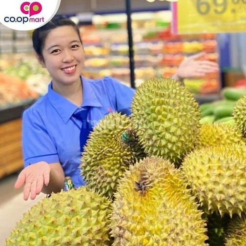 Mùa Trung Thu Đã Đến Siêu Thị Cần Bổ Sung Sinh Viên/Trung Tuổi Đi Làm