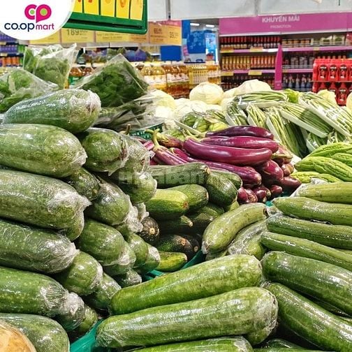 Mùa Trung Thu Đã Đến Siêu Thị Cần Bổ Sung Sinh Viên/Trung Tuổi Đi Làm