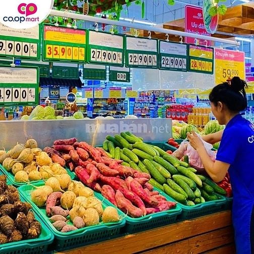 Mùa Trung Thu Đã Đến Siêu Thị Cần Bổ Sung Sinh Viên/Trung Tuổi Đi Làm