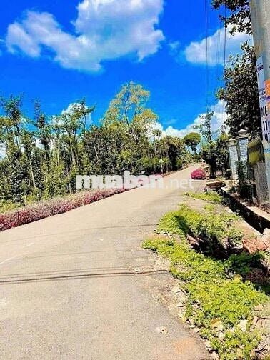 Bán Lô Đất Biệt Thự 250m2 Xã Kim Long TPHCM
