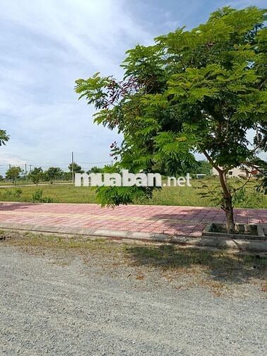 BÁN NHANH LÔ ĐẤT GẦN BIỂN - CHỢ - CÁCH HỘI AN 7p, GIÁ 16tr/m2