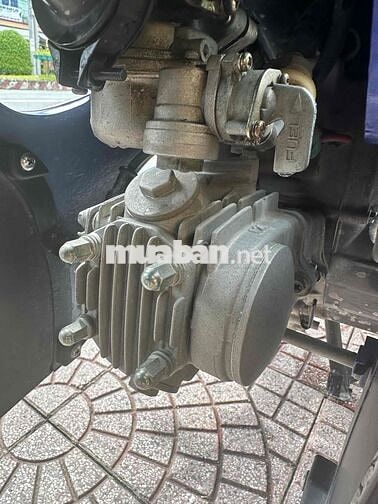 elegant 50c 2022 dep vĩnh long