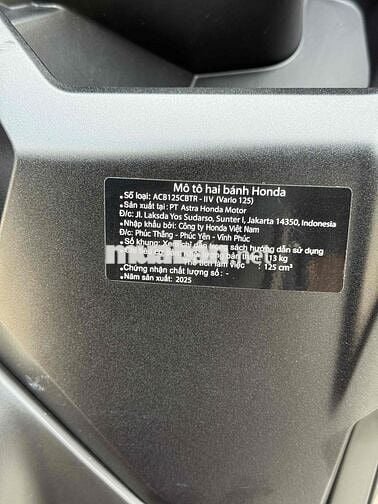 vario 2025 siêu lướt b66
