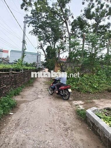 💥 BÁN ĐẤT LÔ GÓC 2 mặt tiền ĐƯỜNG THÔNG Ô TÔ 
🥦 TỰ NHIÊN - THƯỜNG T