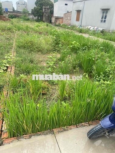 cần bán đất đấu giá xã lệ chi 76 m giá chỉ nhình 4tỷ đường ô chánh