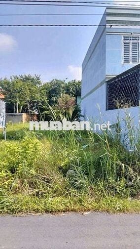 🏡ĐẤT MẶT TIỀN DX88 – HIỆP AN, TDM – ÔTÔ RA VÀO – GIÁ RẺ CHỈ 2.5 TỶ!