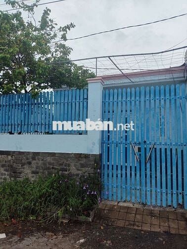 Nhà cho thuê Cấp 4 vàm ô đại phước ( cây xăng hiệp quế, bds đông SG)