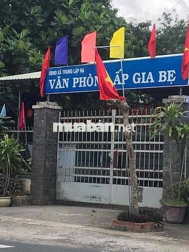 bán đất 310m2 mặt tiền đường ba sa củ chi tphcm