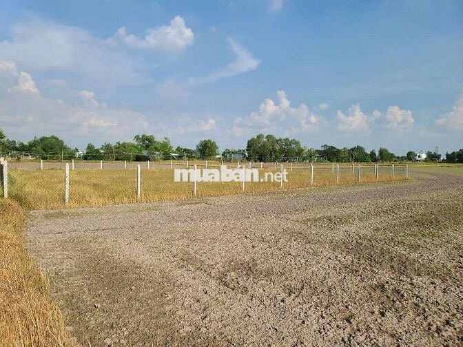 Bán đất chính chủ tại xã Mỹ Hạnh Nam, huyện Đức Hòa, tỉnh Long An