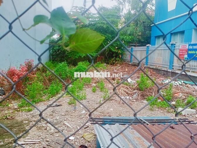 🔥 ĐẤT 239M² (10 x 25m) (~138 TRIỆU/M²) HẺM XE TẢI 8M NI SƯ HÙYNH LIÊN