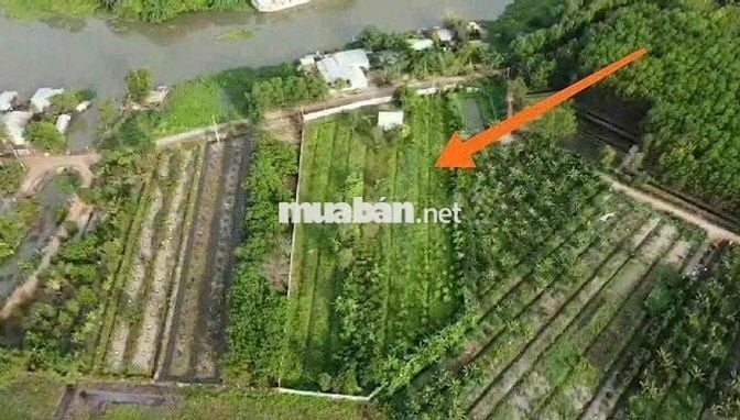 Bán đất Phú An Bến Cát gần cầu ông Cộ, 20x123m 300m2 thổ cư giá 5ty100