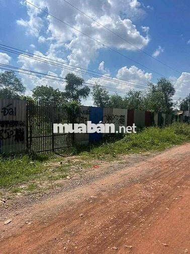 Bán đất Phú An Bến Cát gần cầu ông Cộ, 20x123m 300m2 thổ cư giá 5ty100
