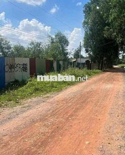 Bán đất Phú An Bến Cát gần cầu ông Cộ, 20x123m 300m2 thổ cư giá 5ty100