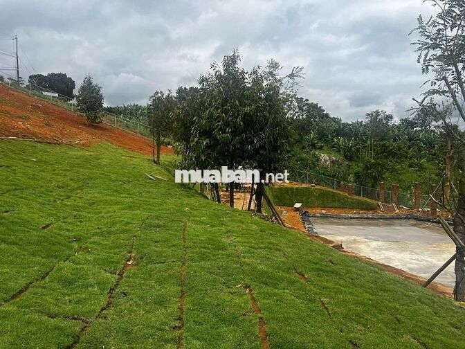 Bán lô đất 200m² full thổ cư | Khu nghỉ dưỡng, ngang 6m | Giá hấp dẫn