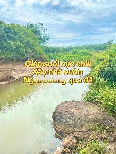 chính chủ đang nợ ngân hàng bán gấp mãnh vườn trả nợ