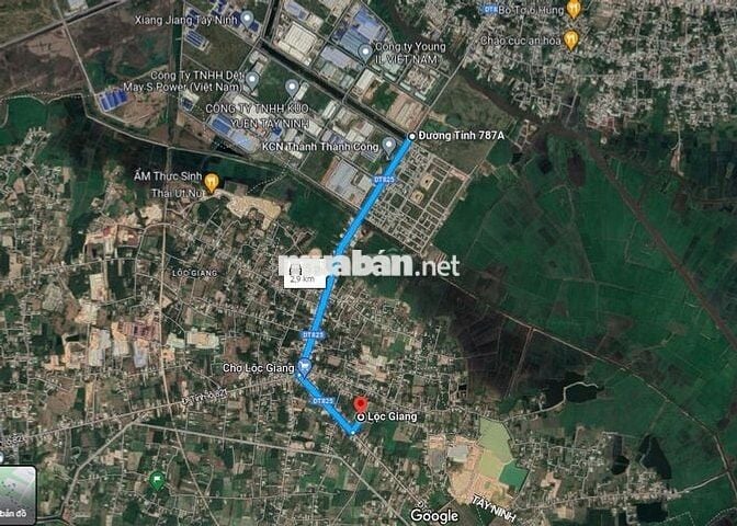 Bán 400m2 đất Lộc Giang, full thổ cư, cách chợ Lộc Giang 700m