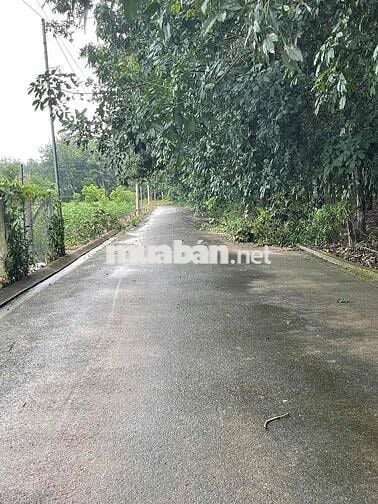 Cần bán 104m2 đất kp4 Hắc Dịch, mặt tiền đường nhựa >4m giá 900TR