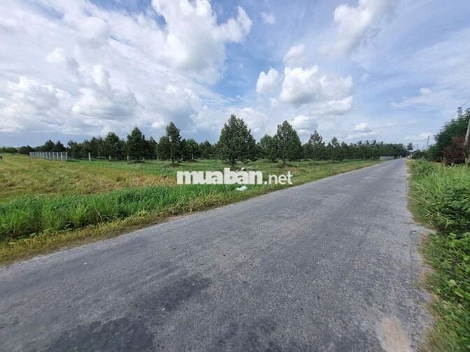 3600m2 đường nhựa. Ngay khu đô thị KCN Phước Đông. 2,6 tỷ
