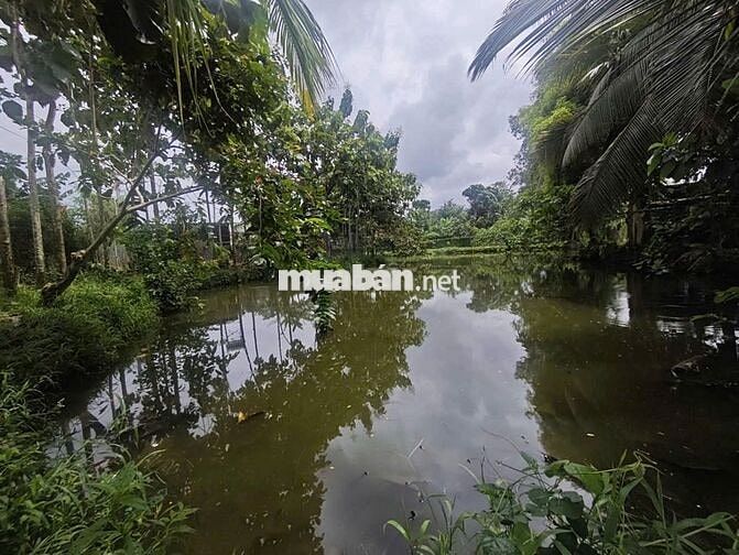 CC CẦN BÁN LÔ ĐẤT KÈM NHÀ VỊ TRÍ ĐẸP PHÚ VINH - ĐỊNH QUÁN - ĐỒNG NAI