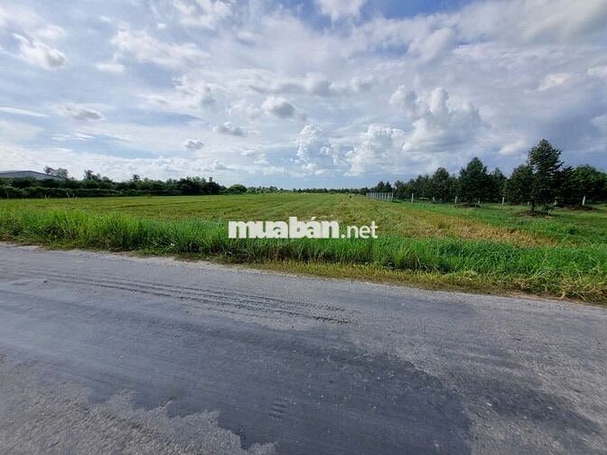 3600m2 đường nhựa. Ngay khu đô thị KCN Phước Đông. 2,6 tỷ