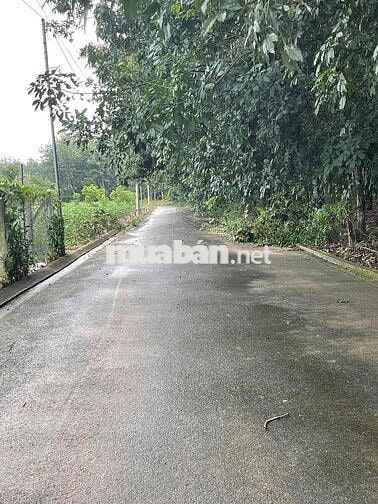 Cần bán 104m2 đất kp4 Hắc Dịch, mặt tiền đường nhựa >4m giá 900TR