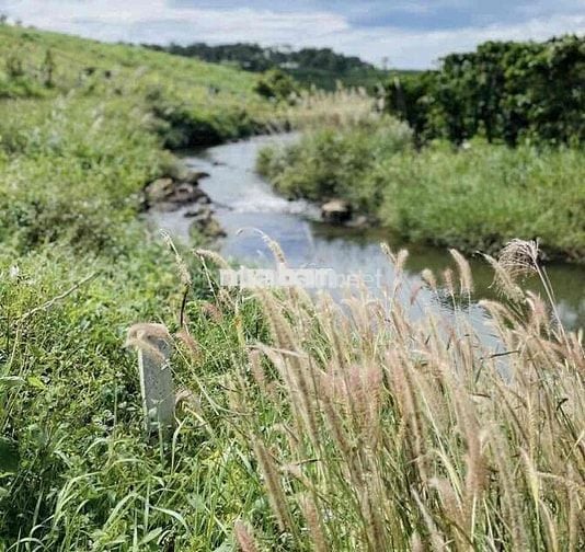 🌿 CƠ HỘI SỞ HỮU ĐẤT FARM NGHỈ DƯỠNG