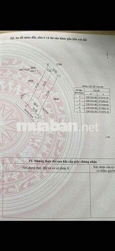 BÁN NGỘP LÔ ĐẤT 10m NGANG KHU BẰNG LĂNG GRAMPING  MẶT TIỀN ĐƯỜNG NHỰA