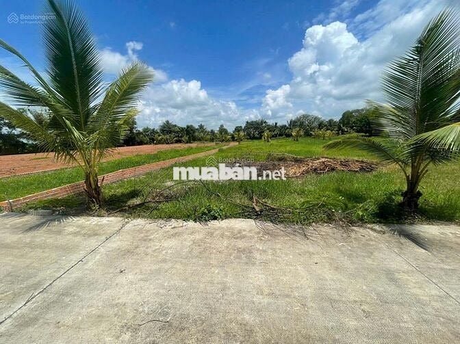 Bánđất thổ vườn 400m2 ngay TT Trảng Bàng, Tây Ninh. SHR, giá 900tr