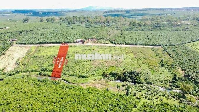🌿 CƠ HỘI SỞ HỮU ĐẤT FARM NGHỈ DƯỠNG