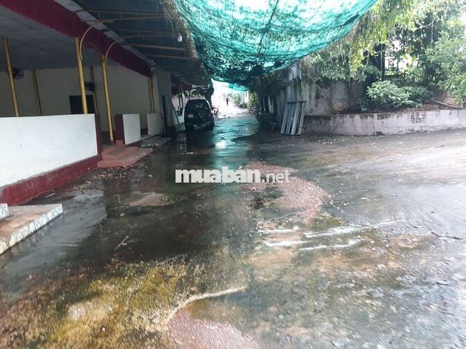 cho thuê nhà hàng 2000m2. vào chỉ kinh doanh.