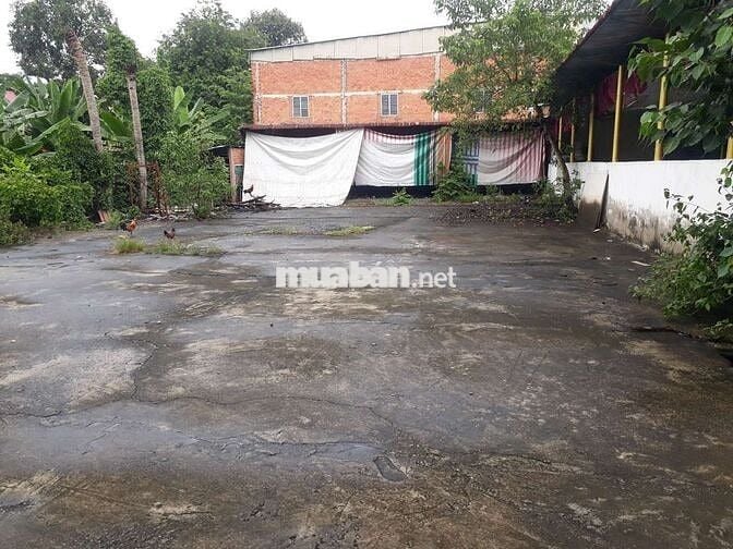 cho thuê nhà hàng 2000m2. vào chỉ kinh doanh.