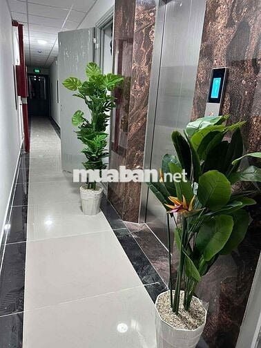 NHÀ MỚI XÂY NGAY GẦN DH NTT, QUA IUH CHỈ 5 PHÚT
