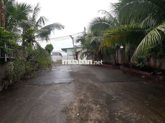 cho thuê nhà hàng 2000m2. vào chỉ kinh doanh.
